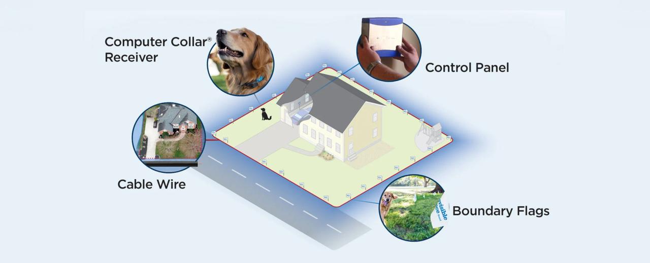 Best underground pet fence online