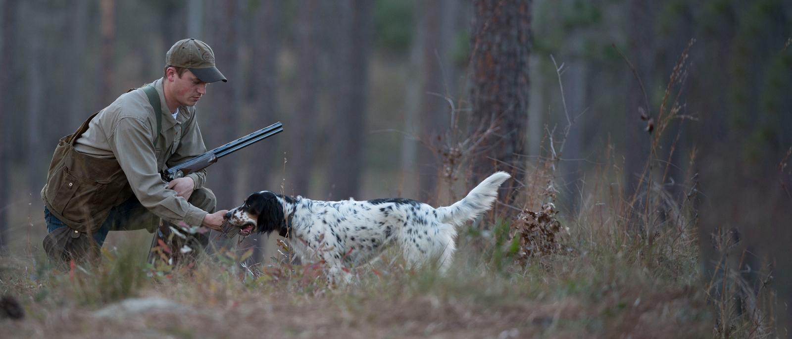 Hunter and hunting dog in woods