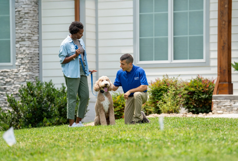 Goldendoodle on a held leash sitting in grass behind the Invisible Fence flags and with an Invisible Fence Brand trainer petting it