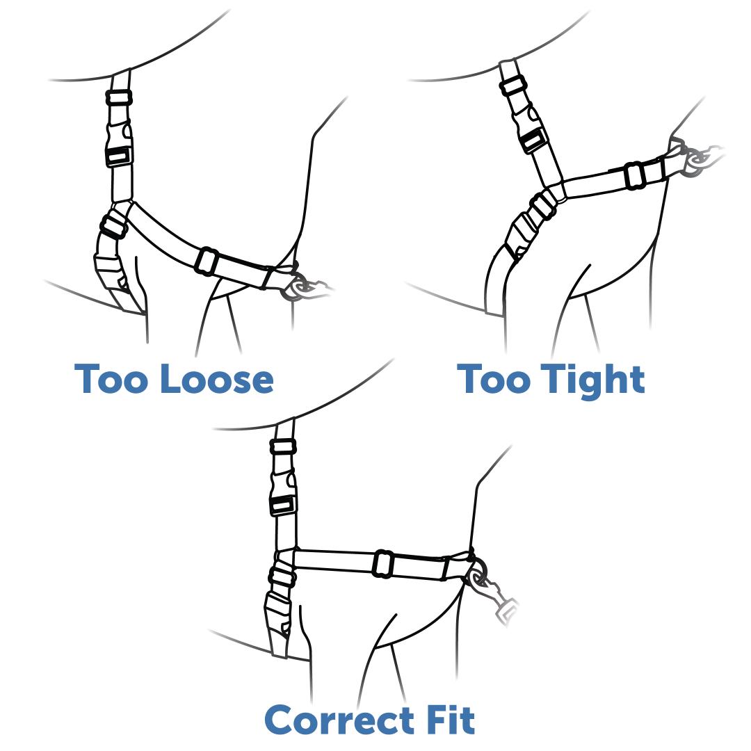 check-fit-easy-walk-harness-straps-illustration