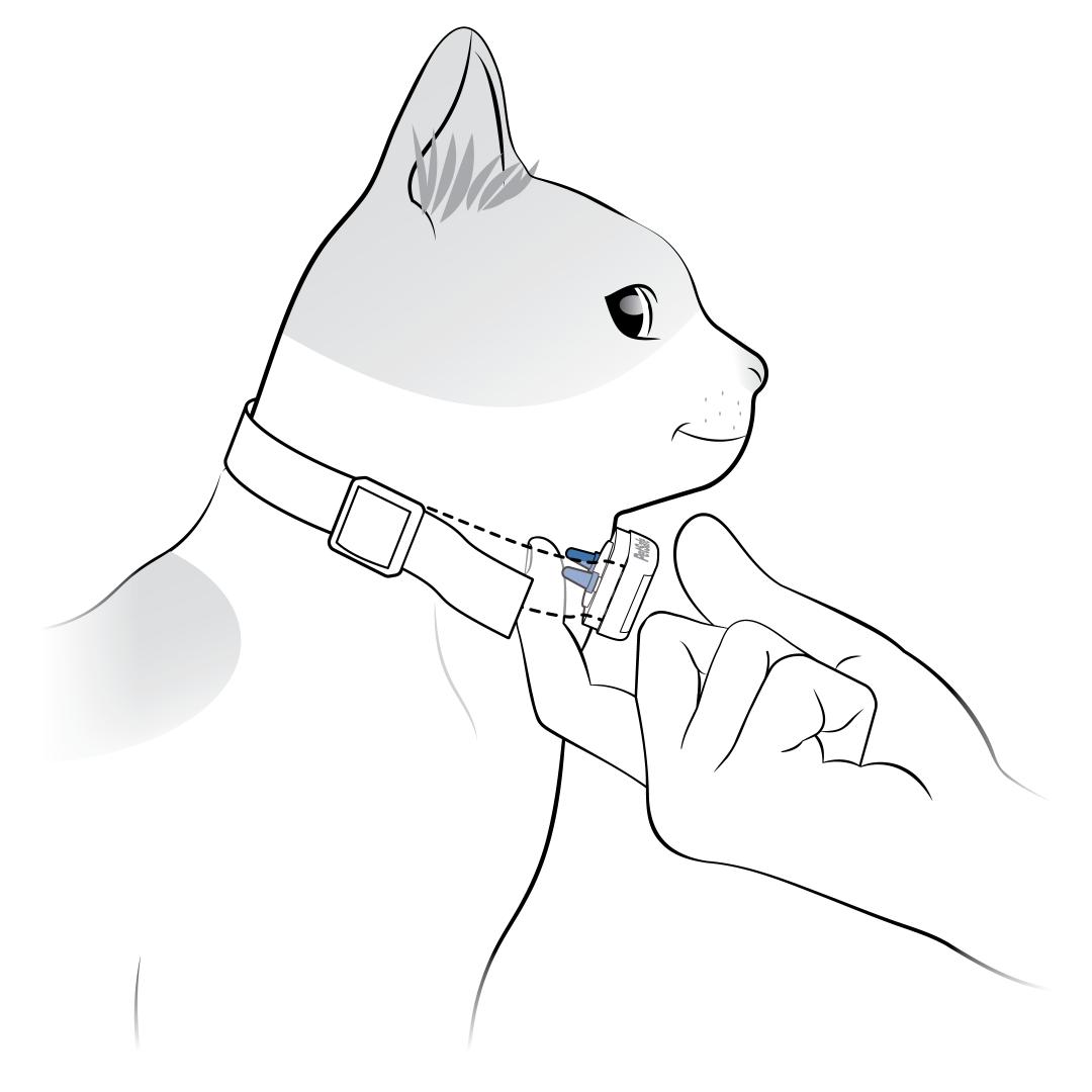 One Finger Behind Contact Points and Cats Neck