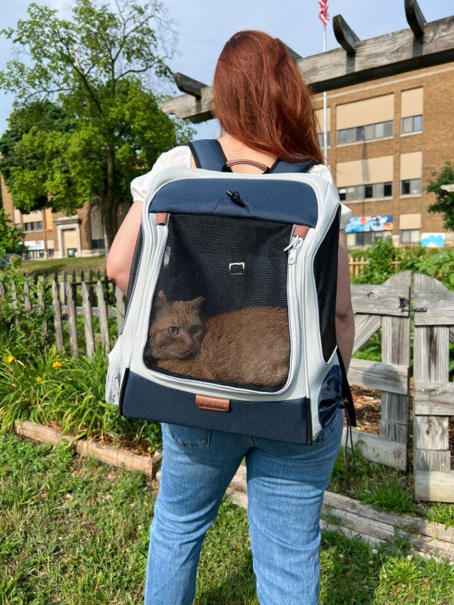 Cat Carriers & Travel Crates PetSafe®