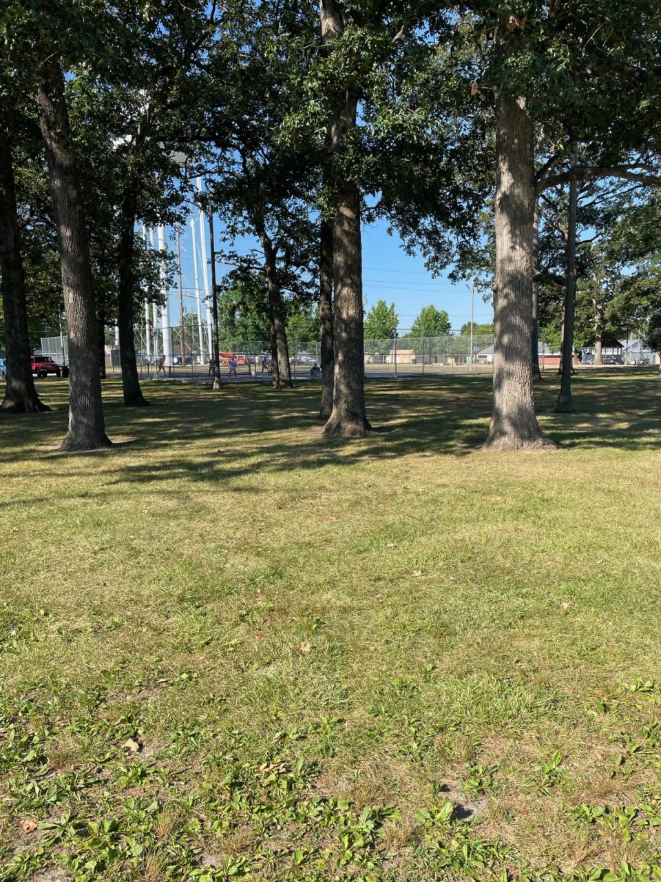 image13