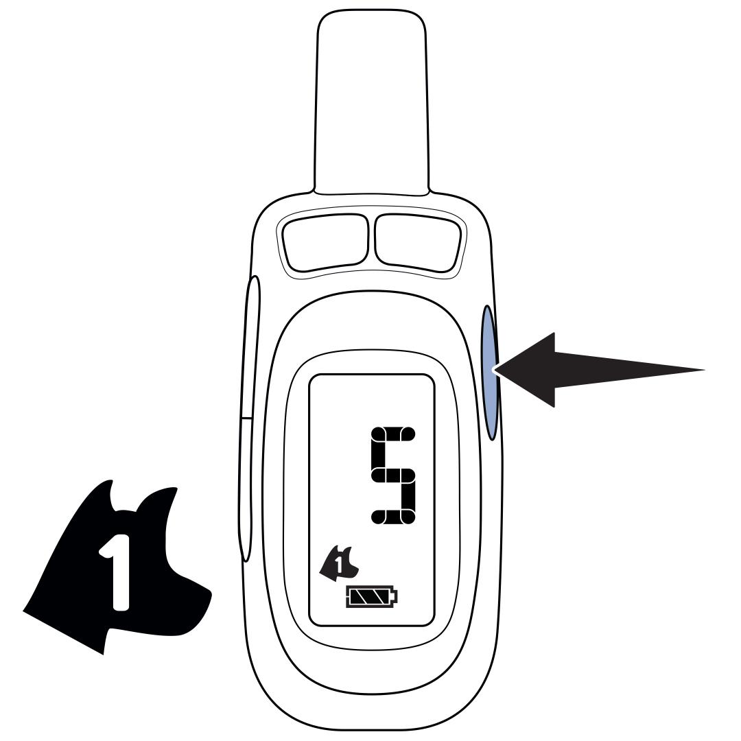 Set Remote To Dog One