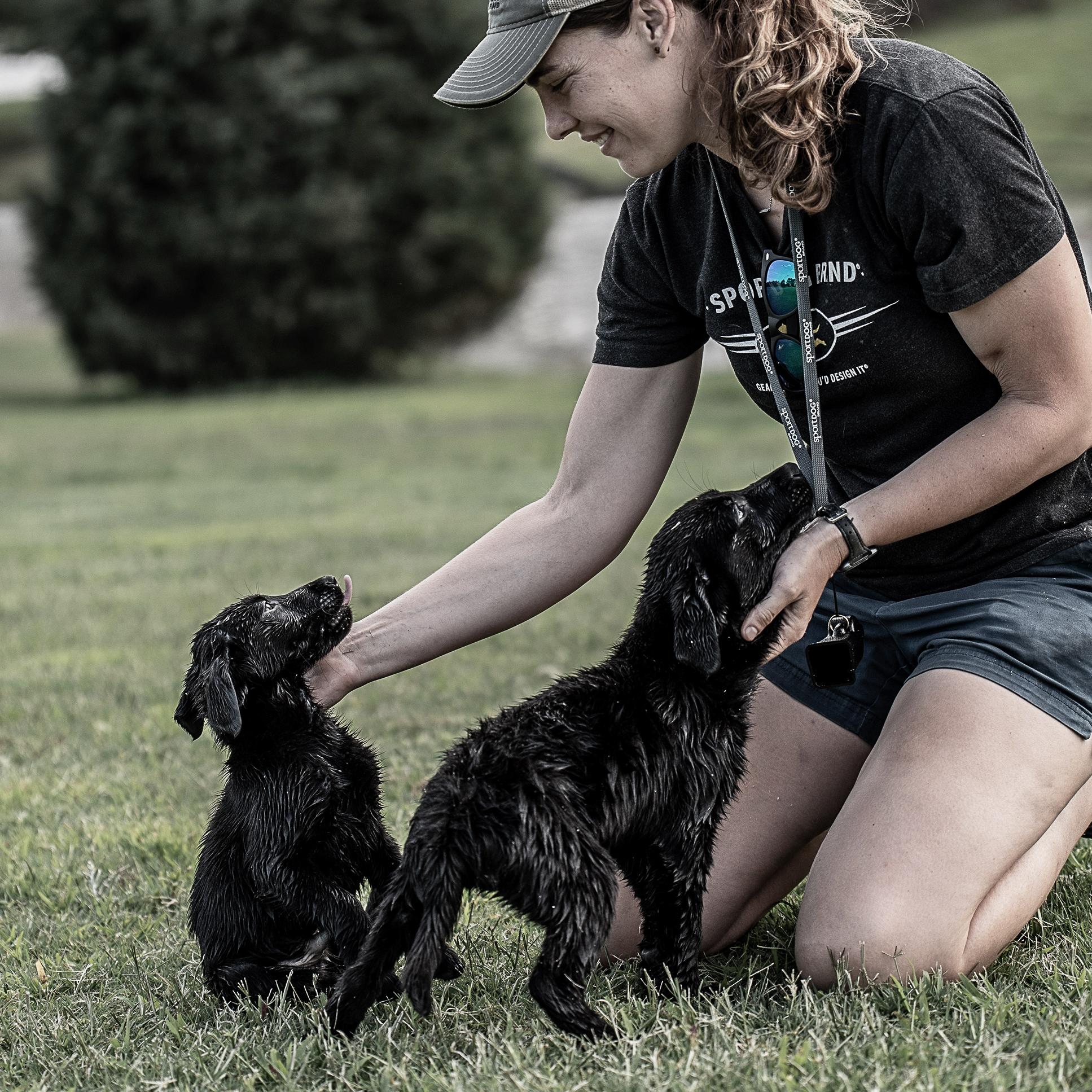 lady kneeling on ground petting two black lab puppies