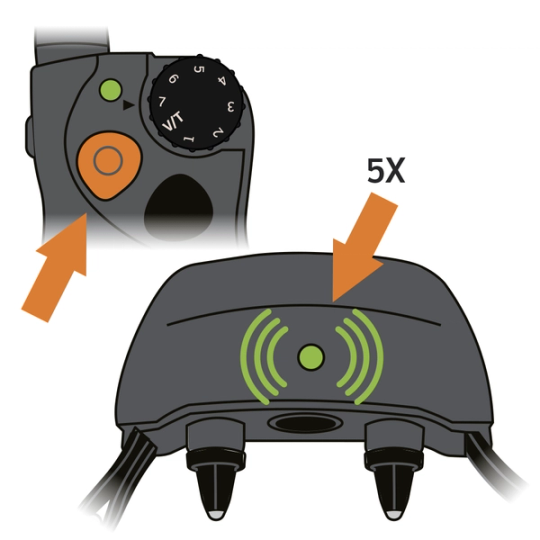 SD YardTrainer 300_Pairing Remote & Collar