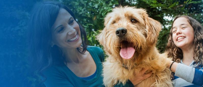 family with dog