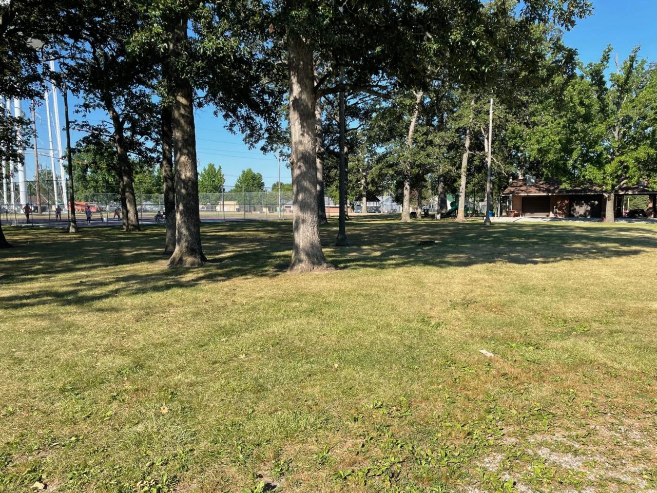 image12