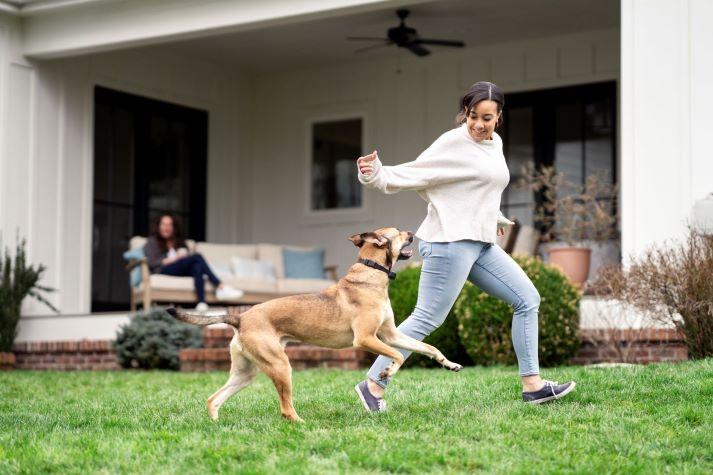 Pet parent playing with dog in garden