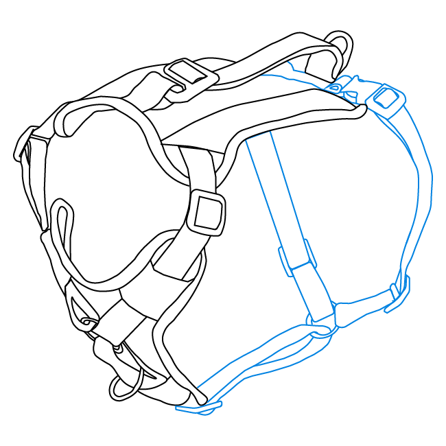 girth-strap-walk-along-outdoor-harness-illustration