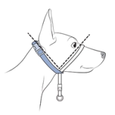 Fasten Strap to Create V