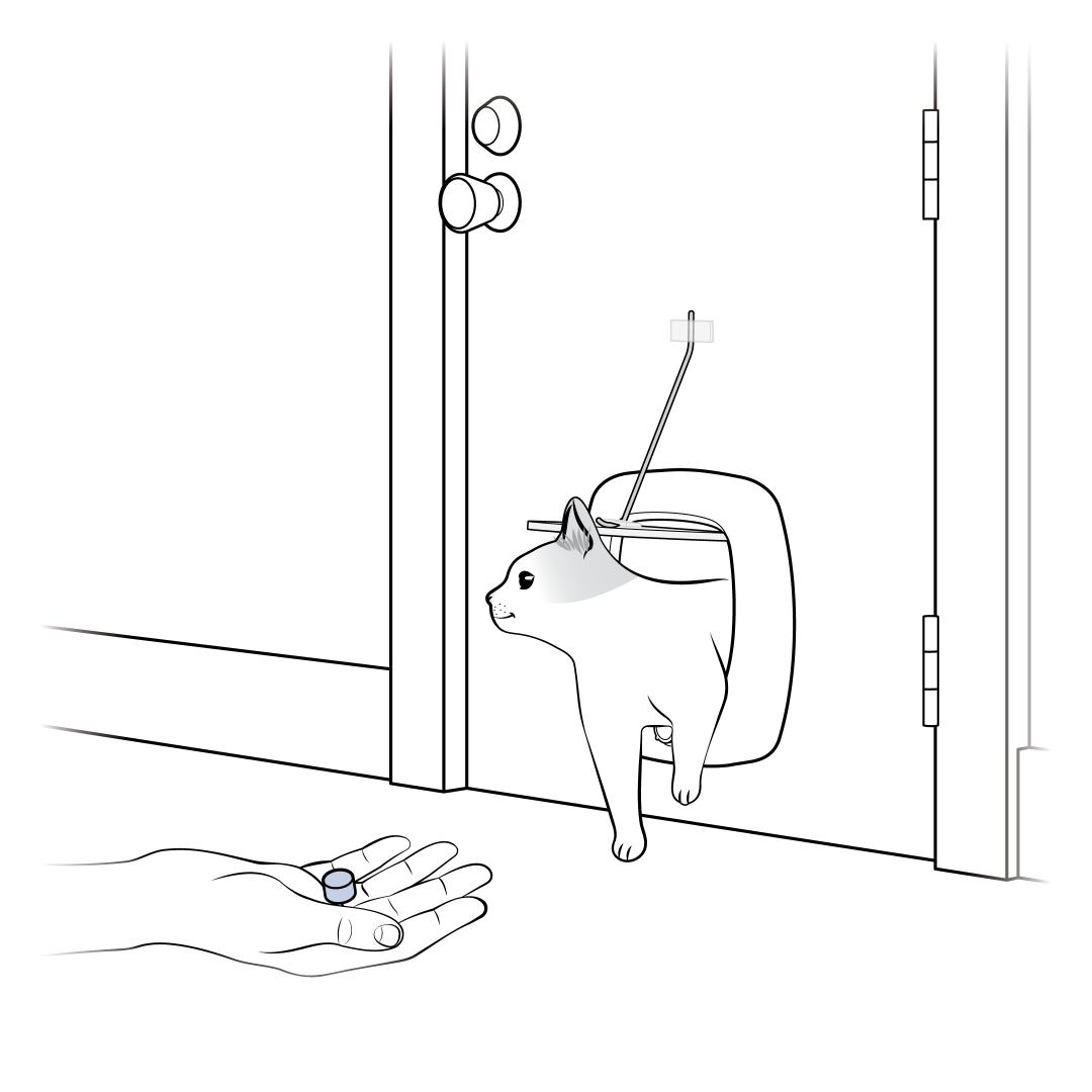 Call Cat Through