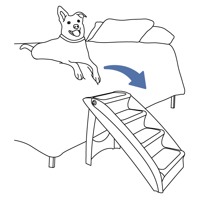 how-to-acclimate-cozyup-pet-stairs-illustration3