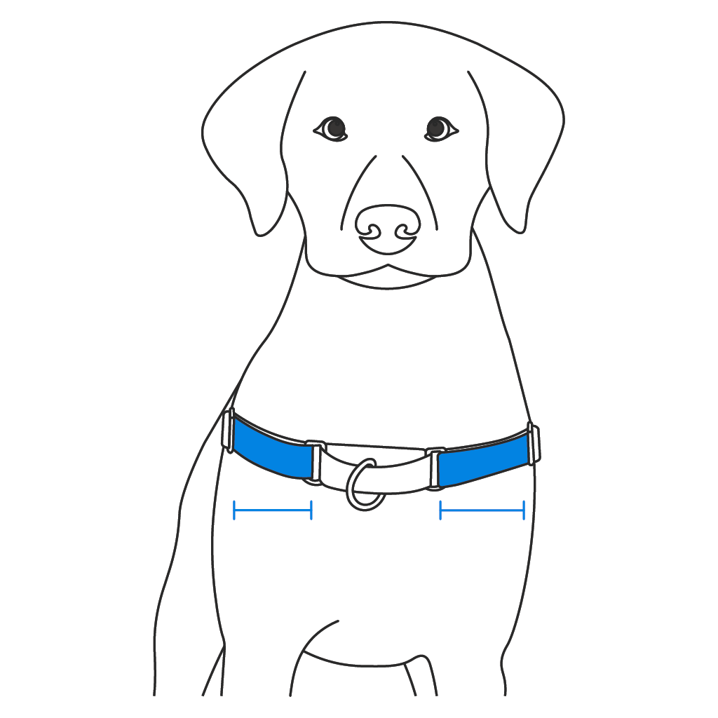 fit-chest-strap-easy-walk-harness-illustration