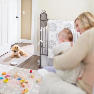 cat sitting calmly outside nursery doorway while baby sleeps inside with invisible fence shields