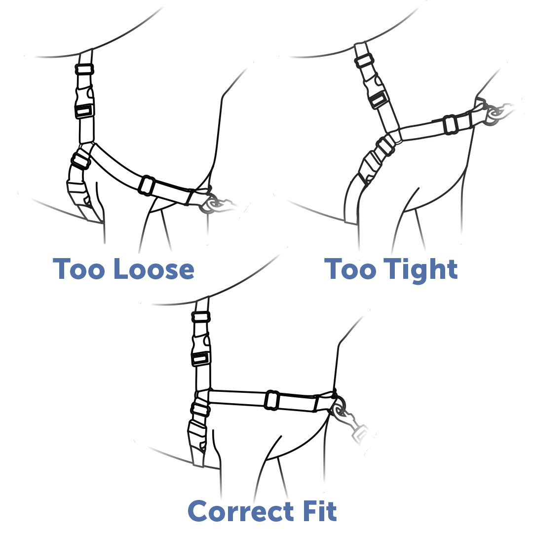 check-fit-easy-walk-harness-straps-illustration