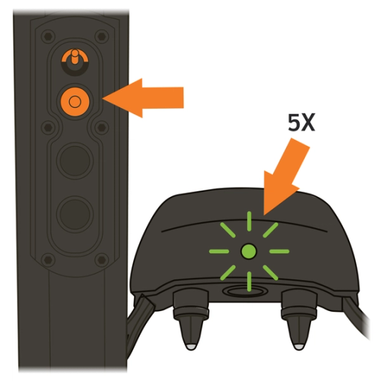 SD-ProHunter-2525_Press & Hold Top Button, Collar Light Flashes Green 5X, Toggle Down