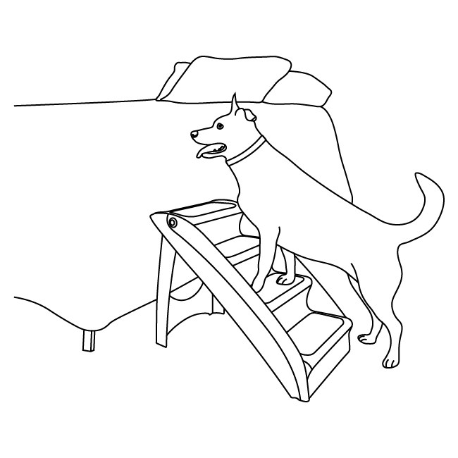 how-to-acclimate-cozyup-pet-stairs-illustration2