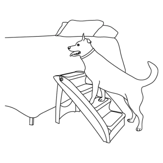 acclimate-pet-cozyup-pet-steps-illustration2