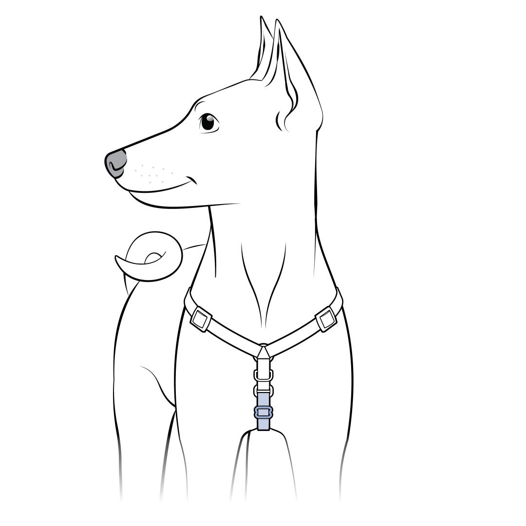 Adjust Chest Strap