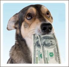 pet cost, save money