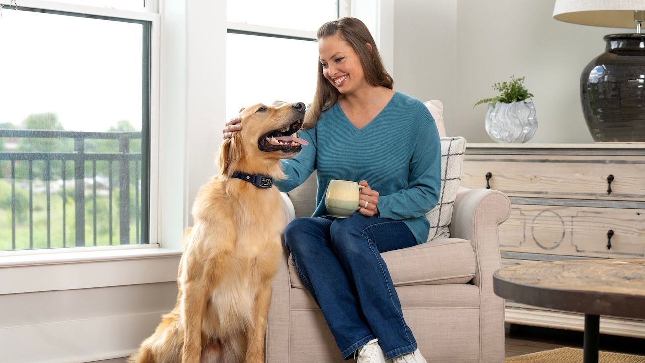 Woman sitting, drinking coffee next to golden retriever