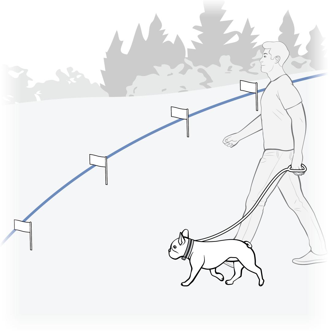 Dog on Leash, Walk Toward Boundary 