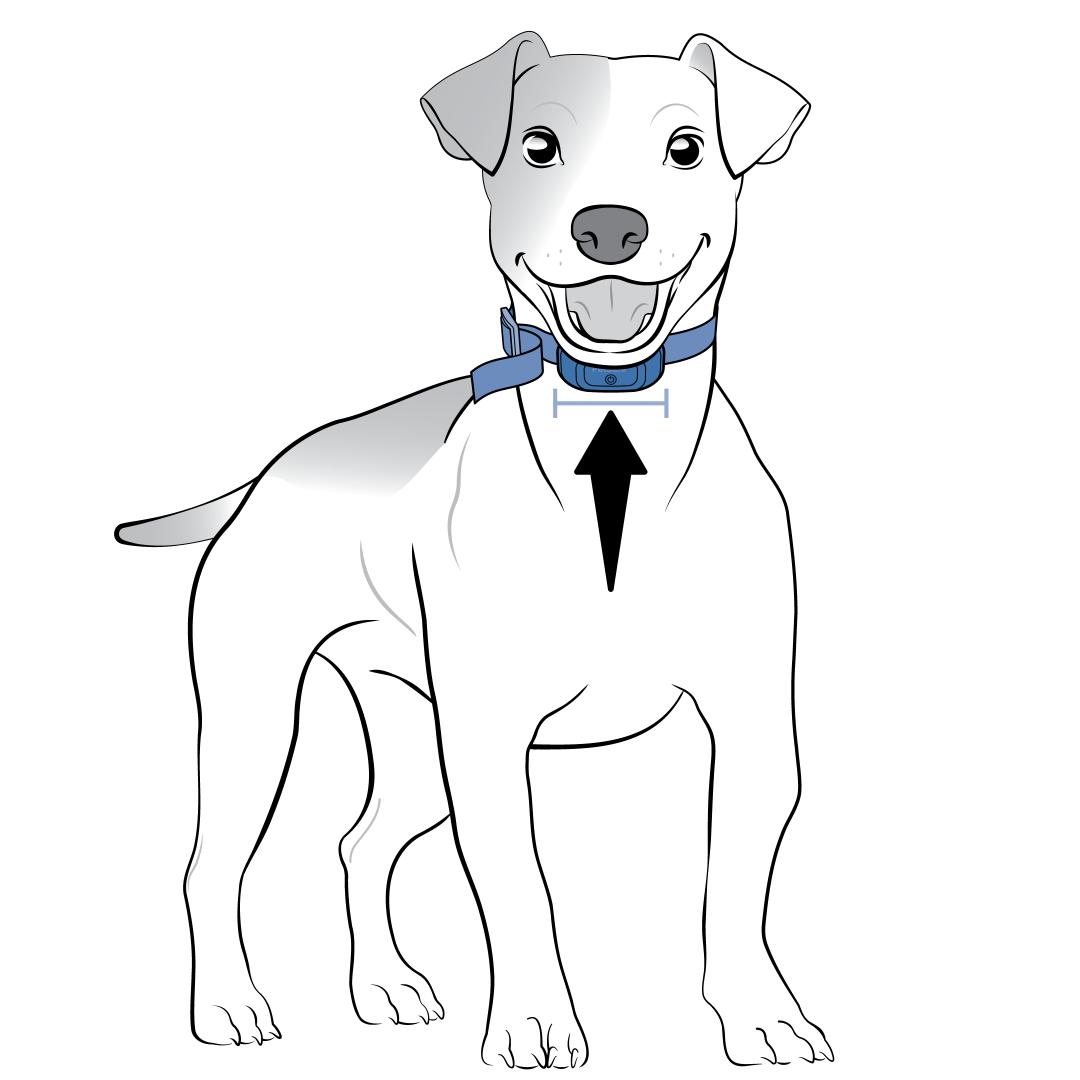 Center Collar