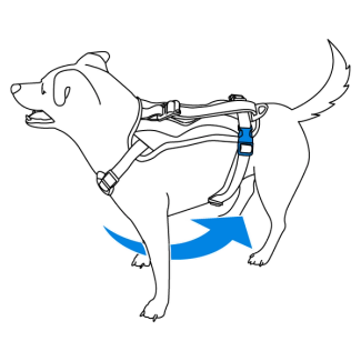 how-to-fit-walk-along-outdoor-harness-illustration3