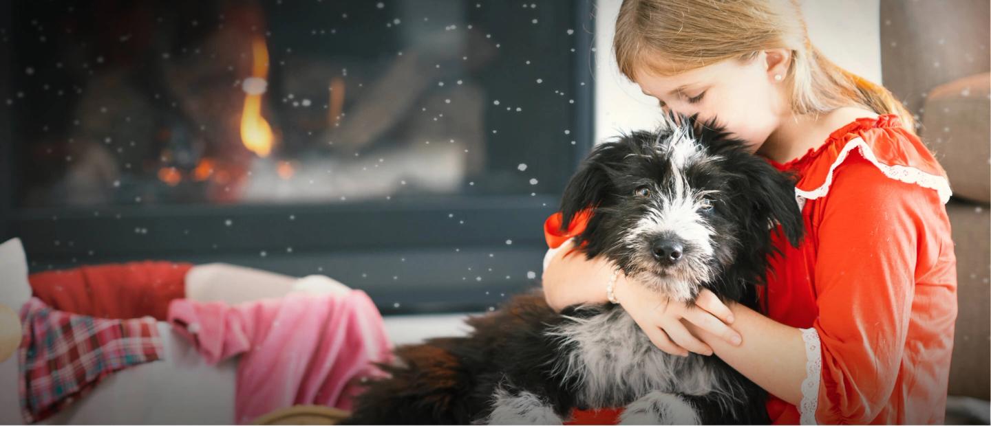 Girl cuddling her new puppy in front of a fireplace
