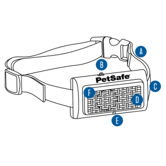 Collar features