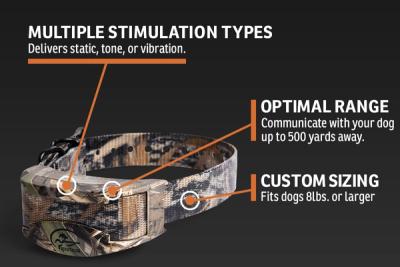 Infographic labeling features of collar
