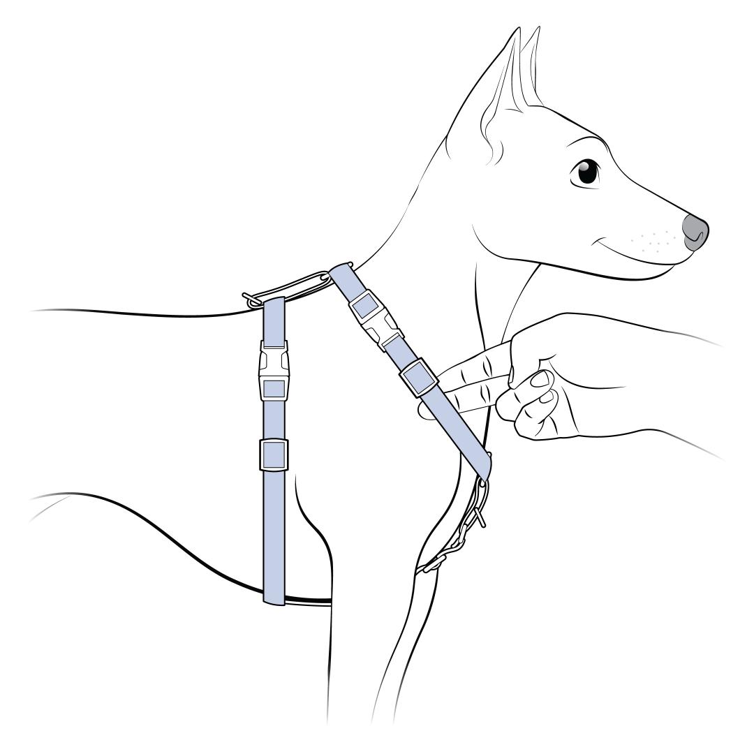 Two Fingers Fitting Under Harness
