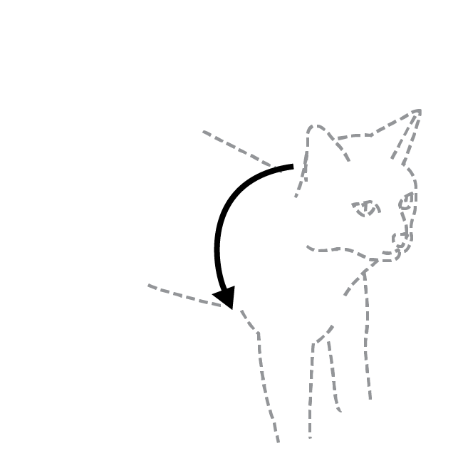 proper-fit-come-with-me-kitty-cat-harness-bungee-leash-illustration1