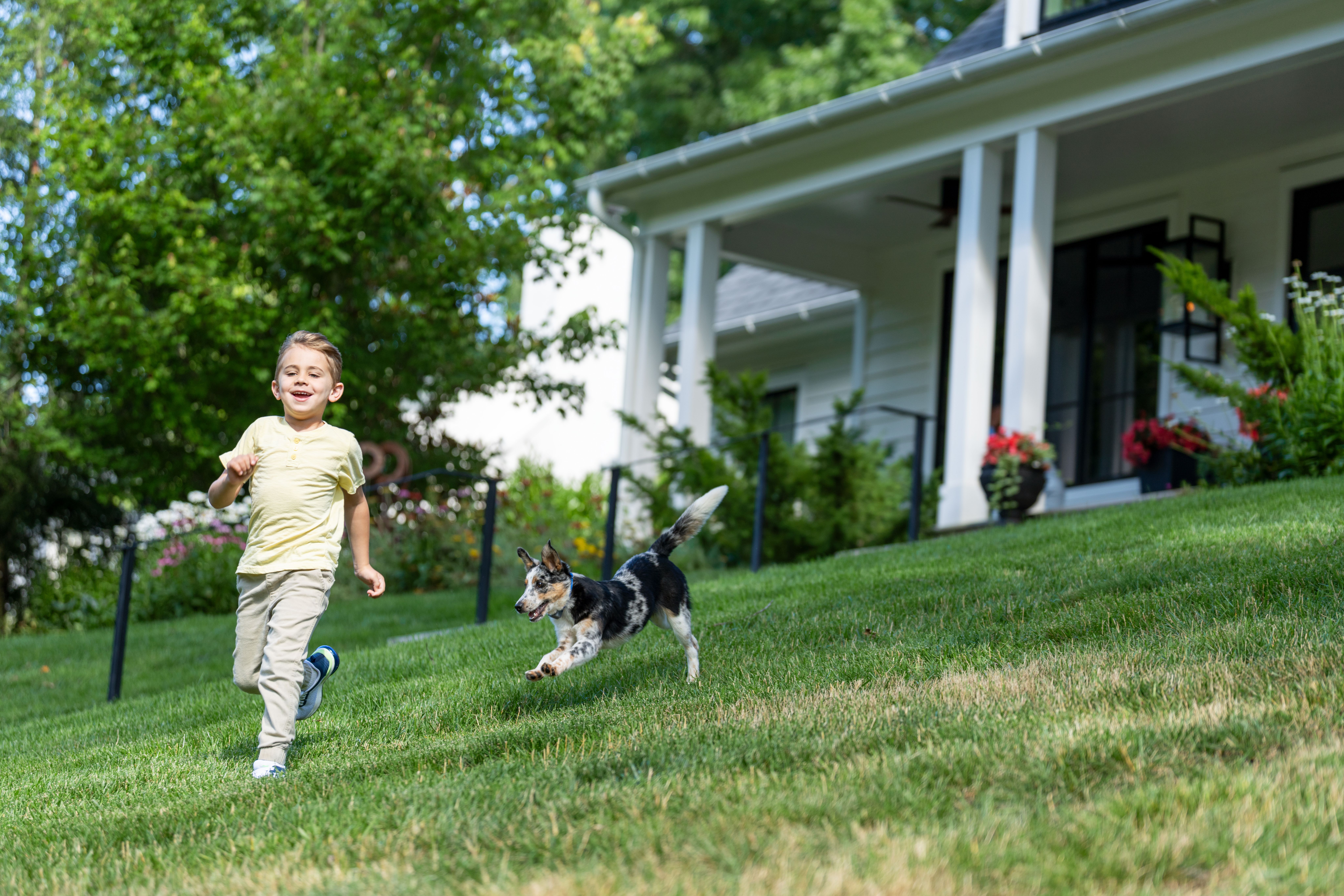 kid and dog running in yard with invisible fence system