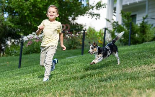 kid and dog running in yard with invisible fence system