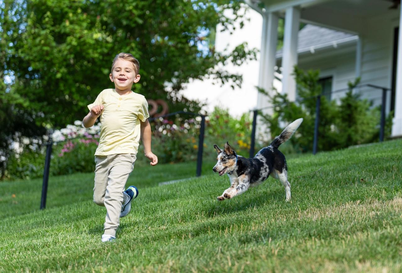 young boy and puppy run and play in the yard with invisible fence