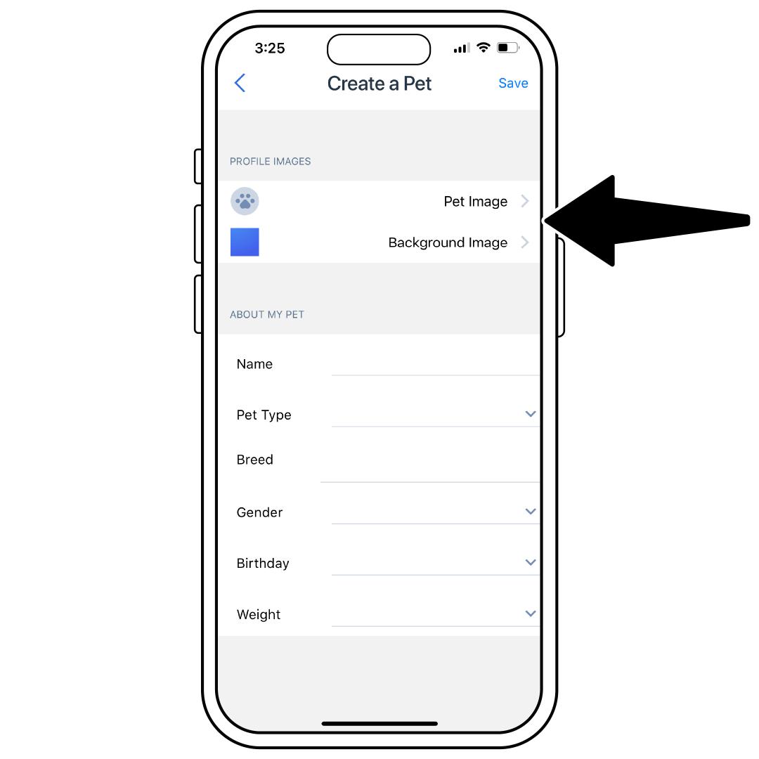 Pet and Background Images