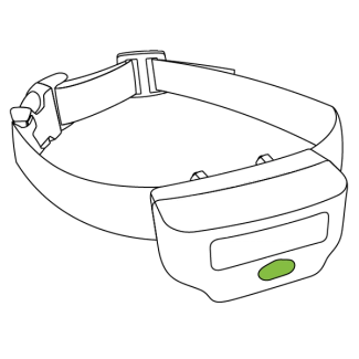 Green light on the collar