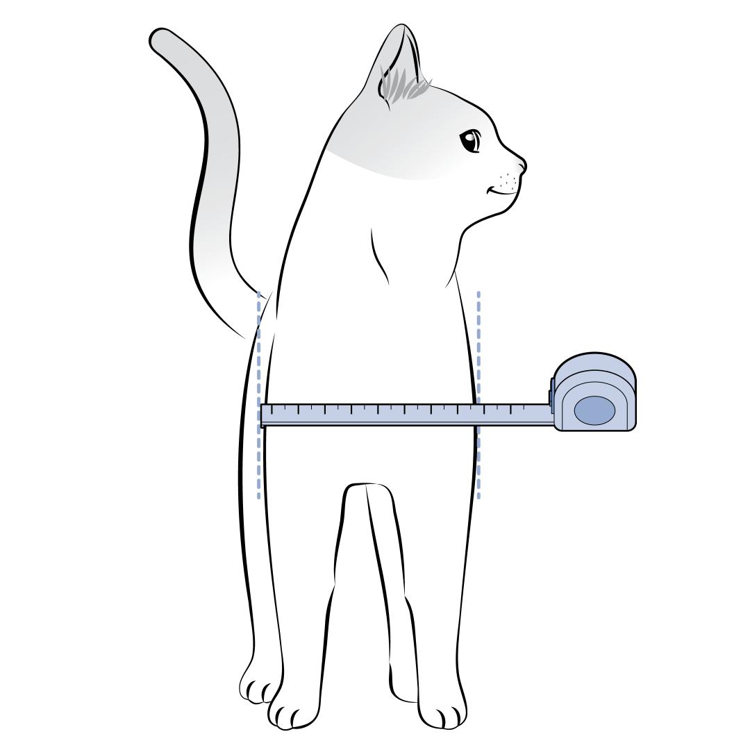 Measure Cat_Chest