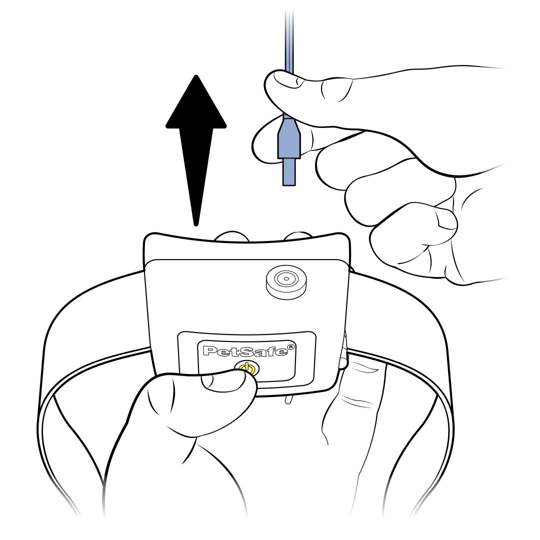 Remove Charger While Holding Button Down