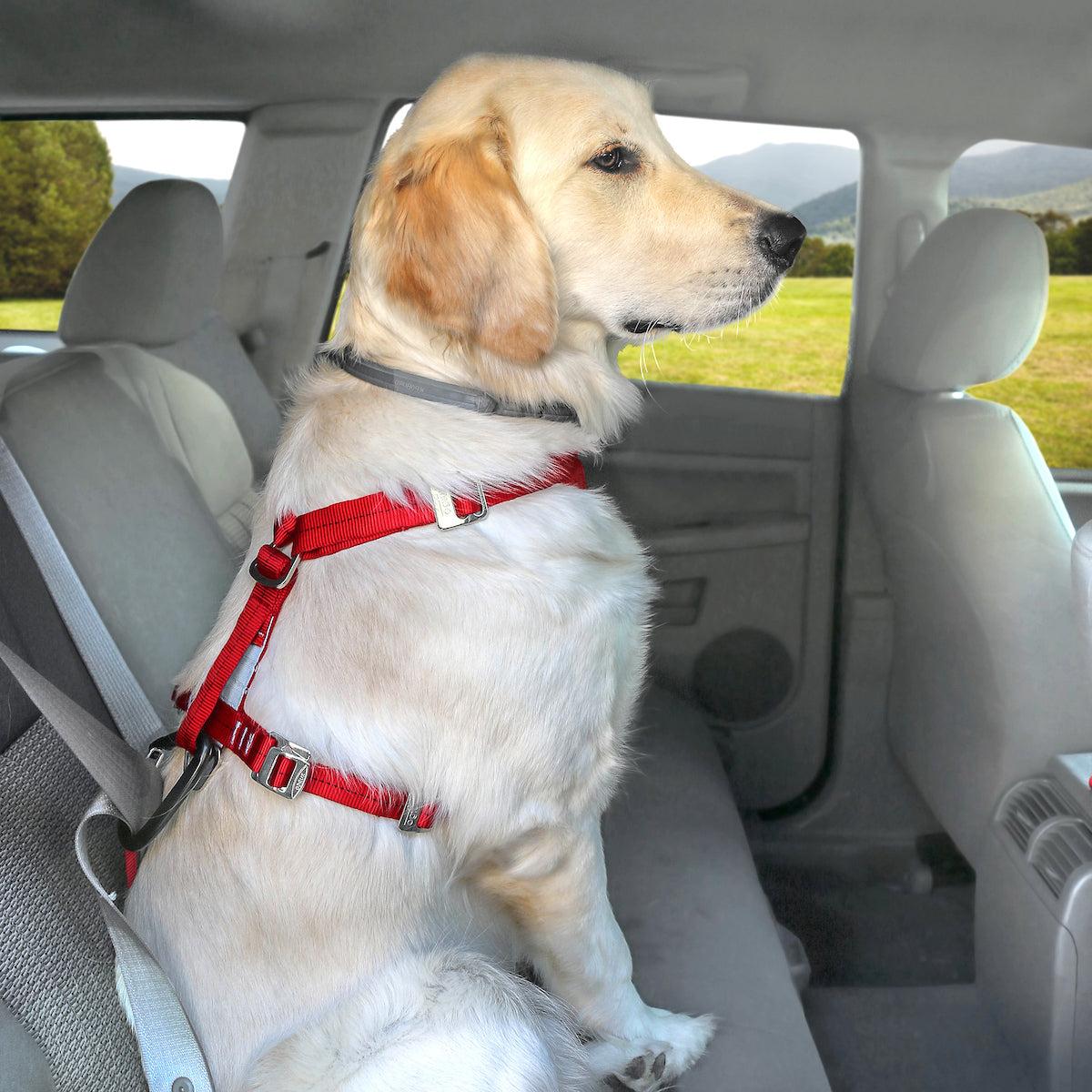 enhanced strength dog car harness