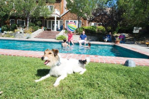 backyard pool with dog kept safely away by outdoor shields plus invisible fence