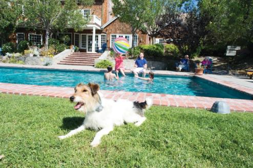 backyard pool with dog kept safely away by outdoor shields plus invisible fence