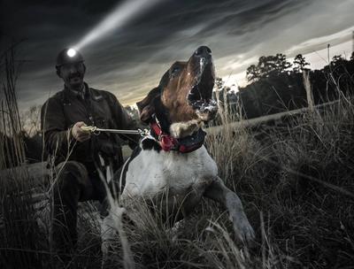 a hound dog barking and lunging on a leash held by a man with a headlight on.