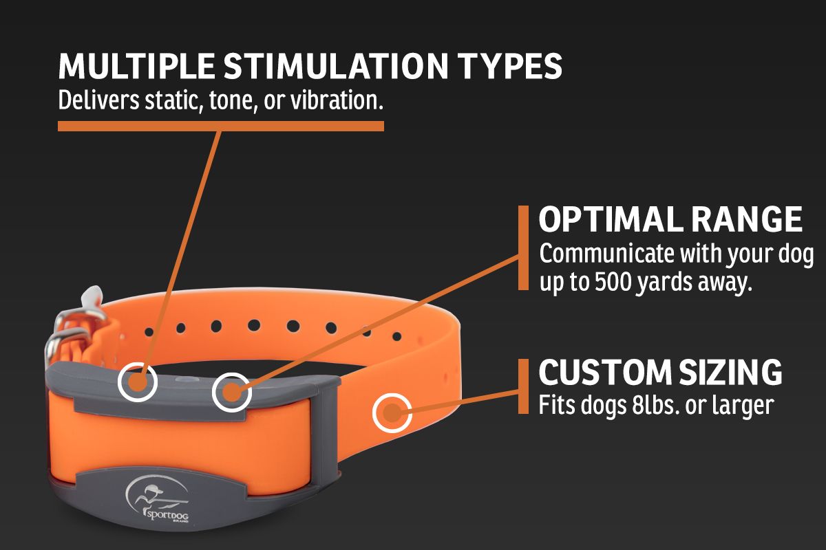 SportTrainer® 575 - Orange - Store | SportDOG