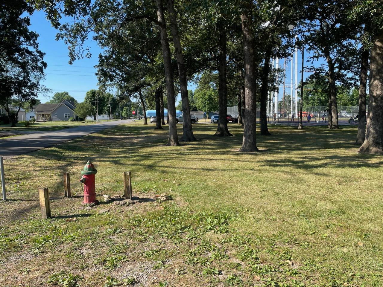 image11