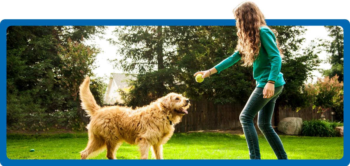 Girl giving her dog who is wearing an Invisible Fence® Collar a tennis ball