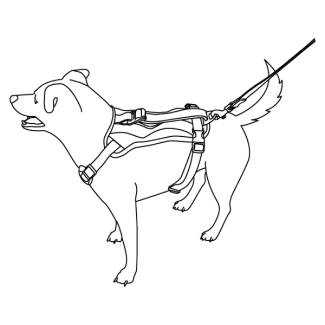 walking-pet-walk-along-outdoor-harness-illustration