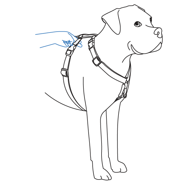 how-to-fit-3-in-1-harness-illustration6